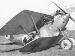 Pfalz D.IIIa 8043/17 crash (1099-023)